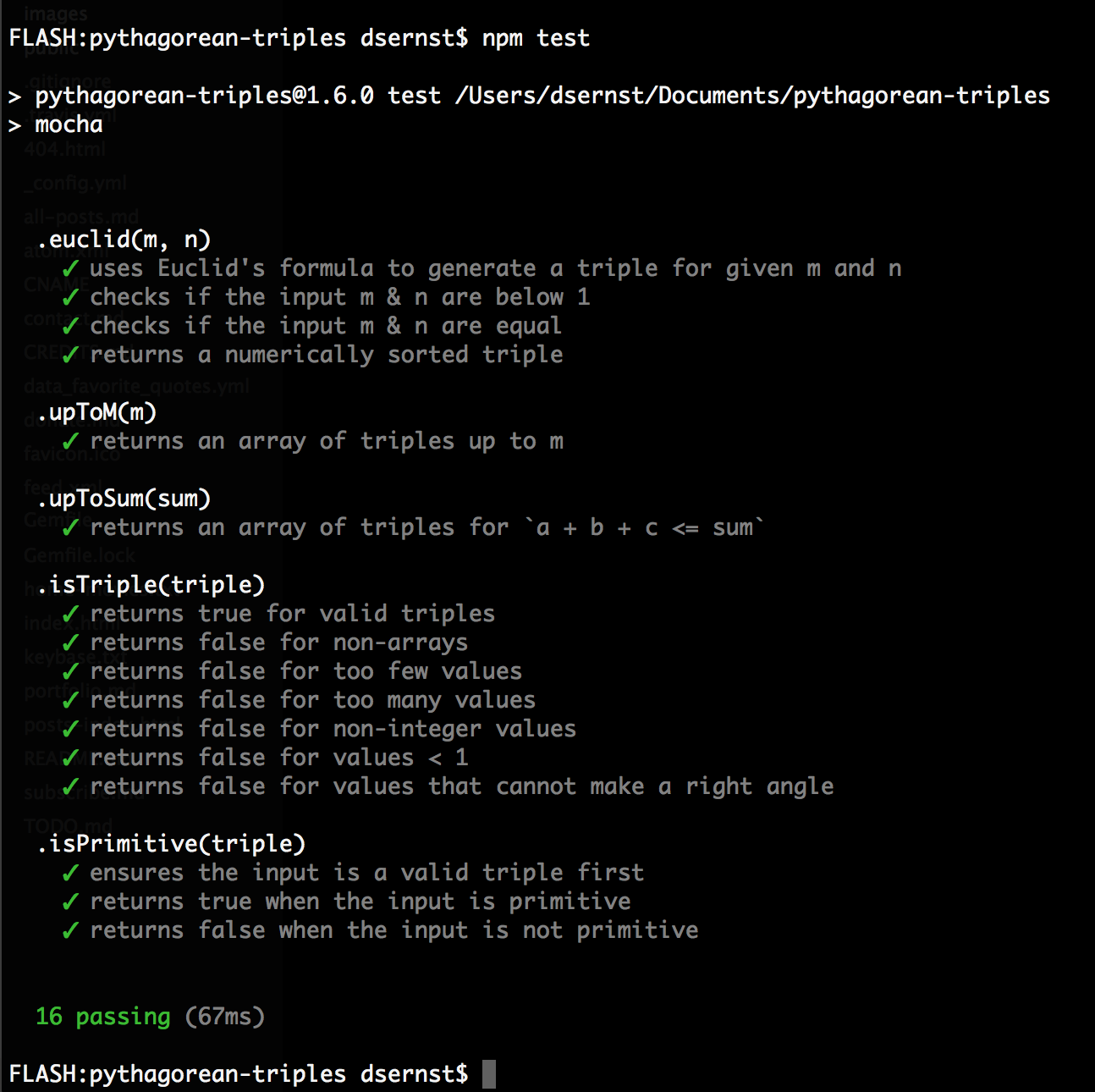 screenshot of npm test